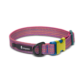 Del Día Dog Collar