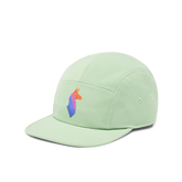 Llama Stripes 5-Panel Hat