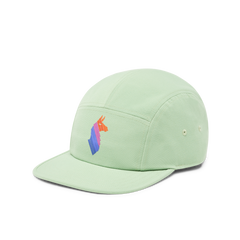 Llama Stripes 5-Panel Hat
