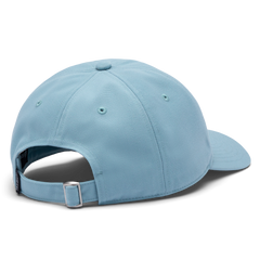 Cotopaxi Dad Hat